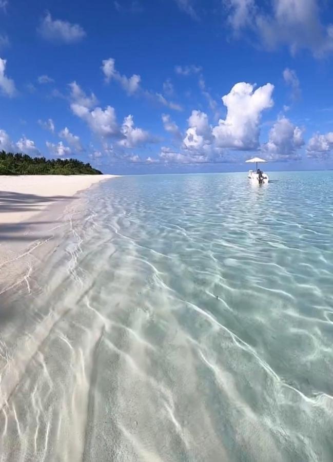 شقة بونتا كانا  في Blue Paradise المظهر الخارجي الصورة